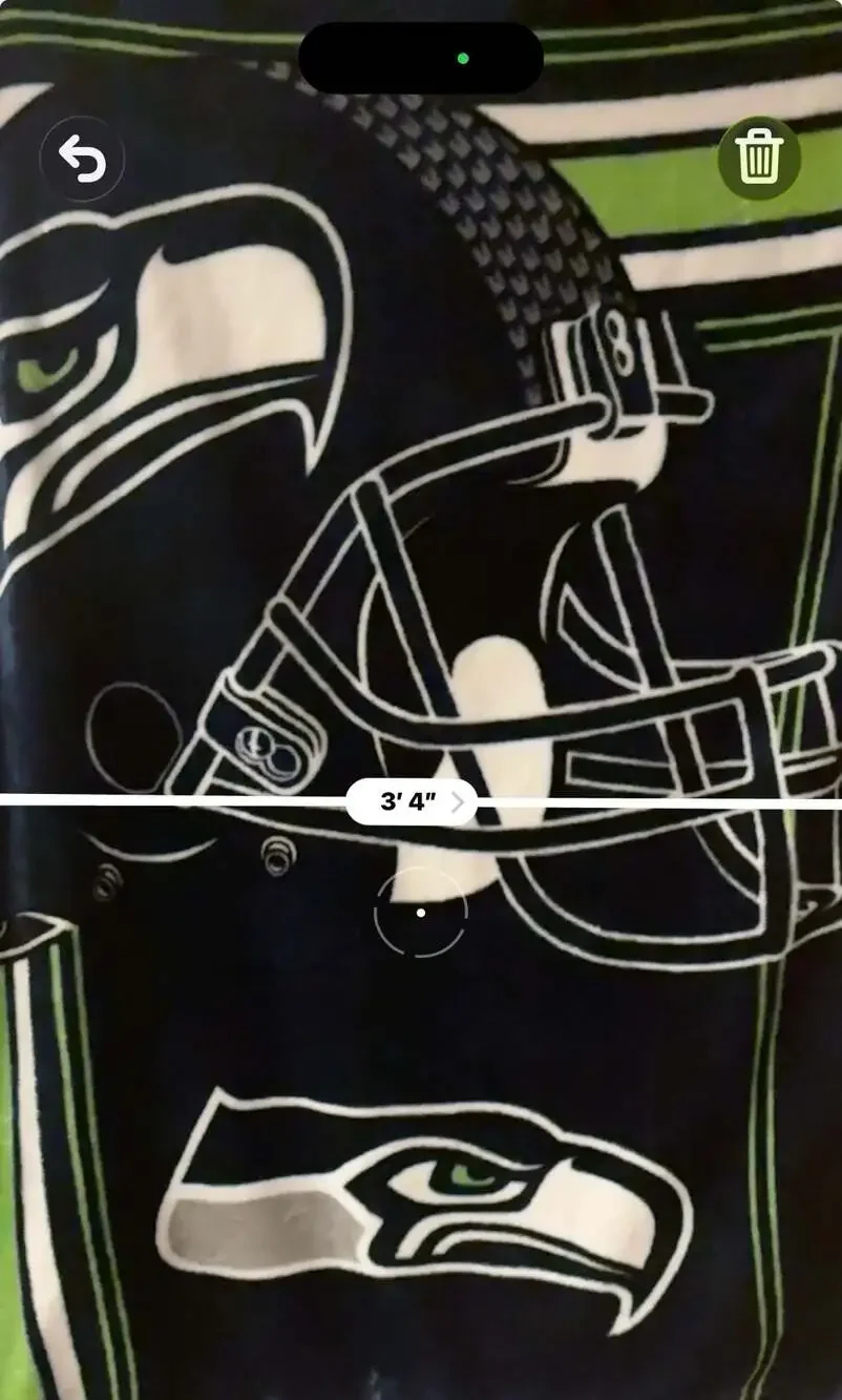 Seattle Seahawks NFL Slant Design Raschel Throw Blanket (46